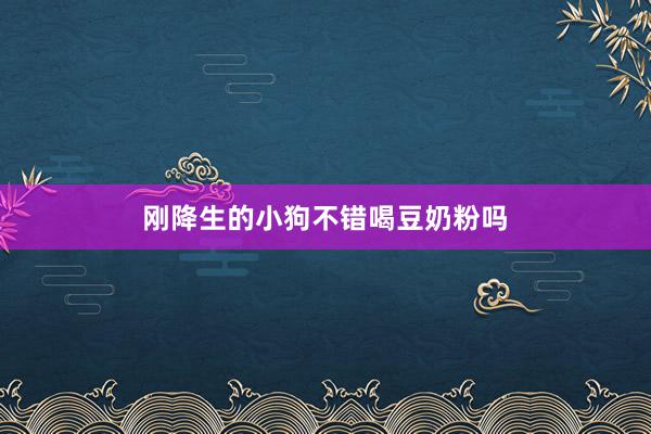 刚降生的小狗不错喝豆奶粉吗
